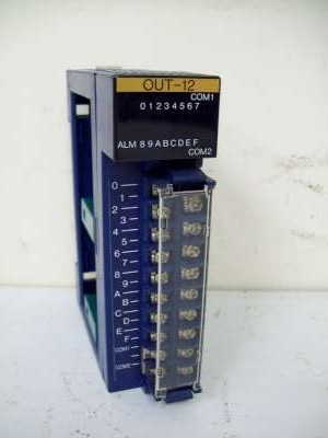 Toyoda / toyopuc out-12 output module 24VDC